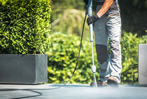 Trusted La Vista, NE Pressure Washing Services Experts